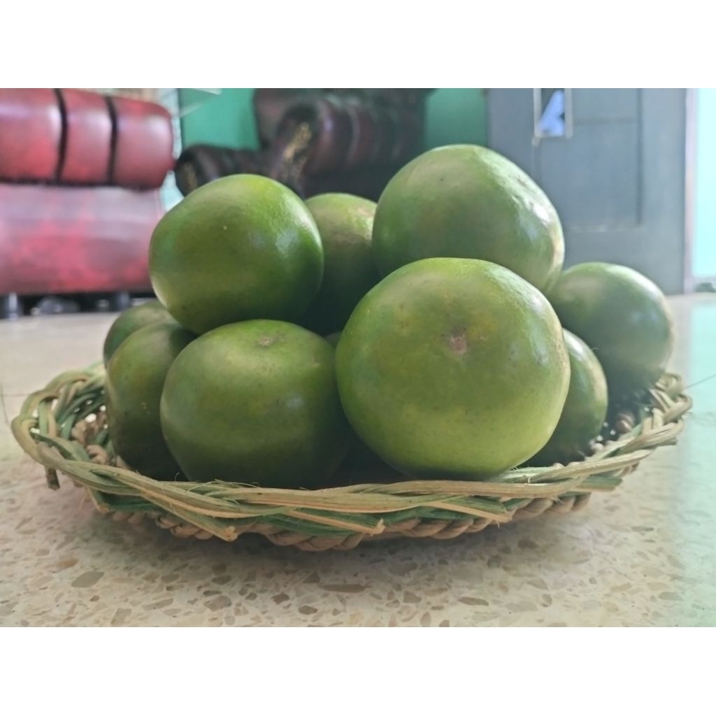 jeruk peras/BL semboro 1 kg