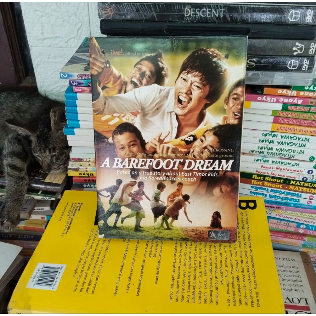 VCD Film A Barefoot Dream Original