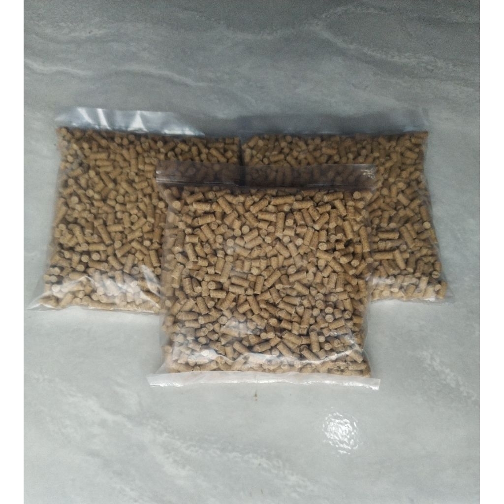 pakan udang hias