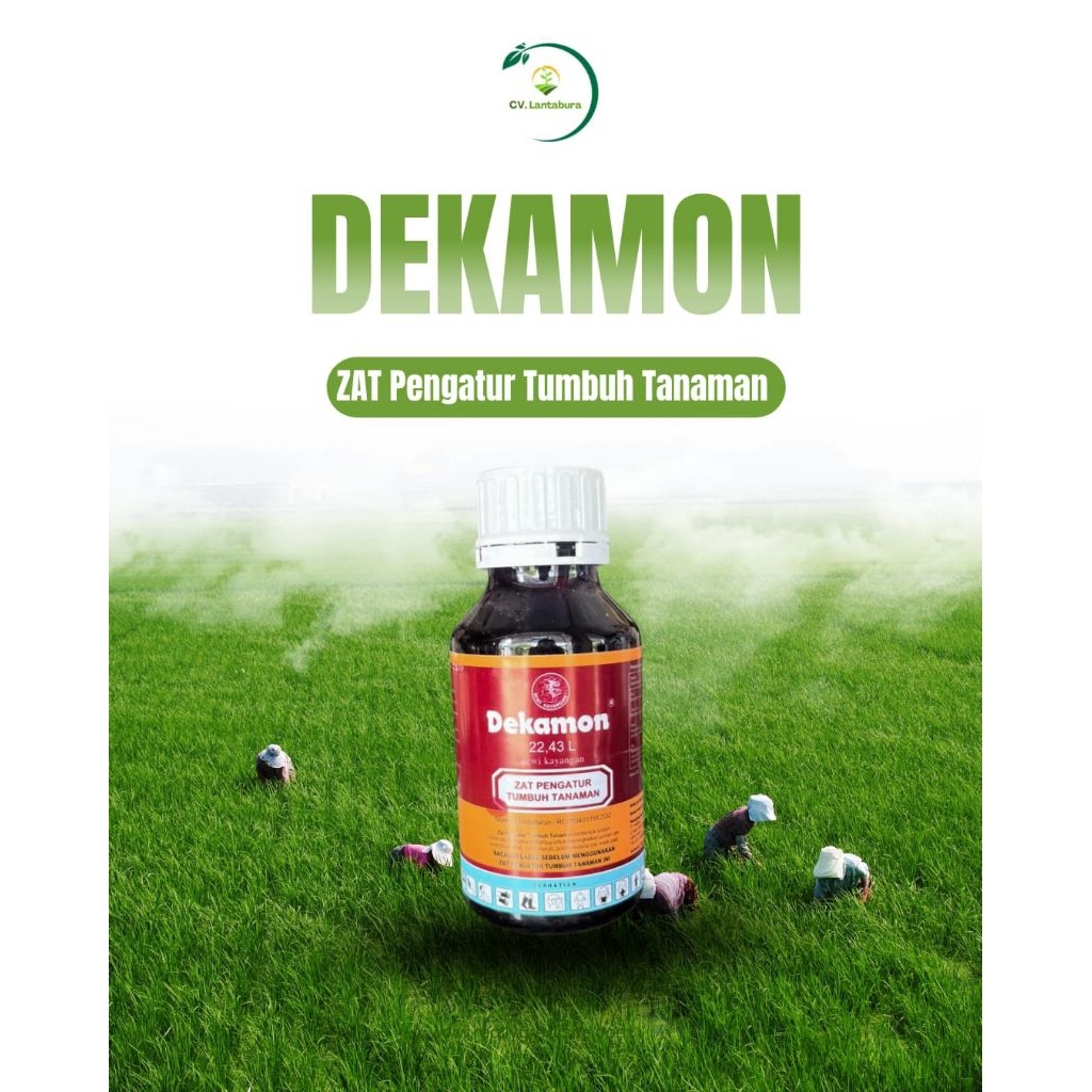 DEKAMON 22,43 L