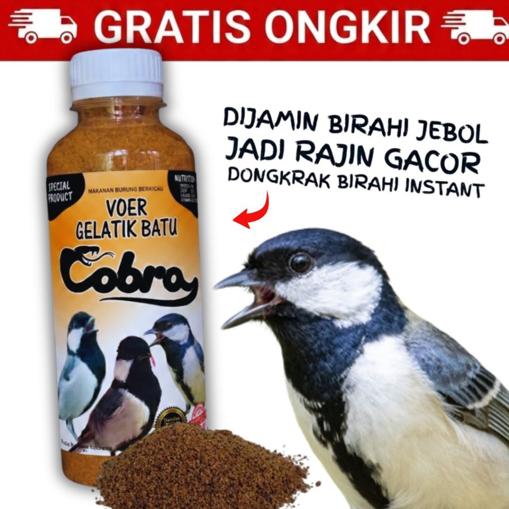 Voer Burung Gelatik Batu