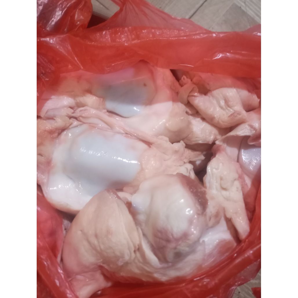 Tulang dengkul sapi