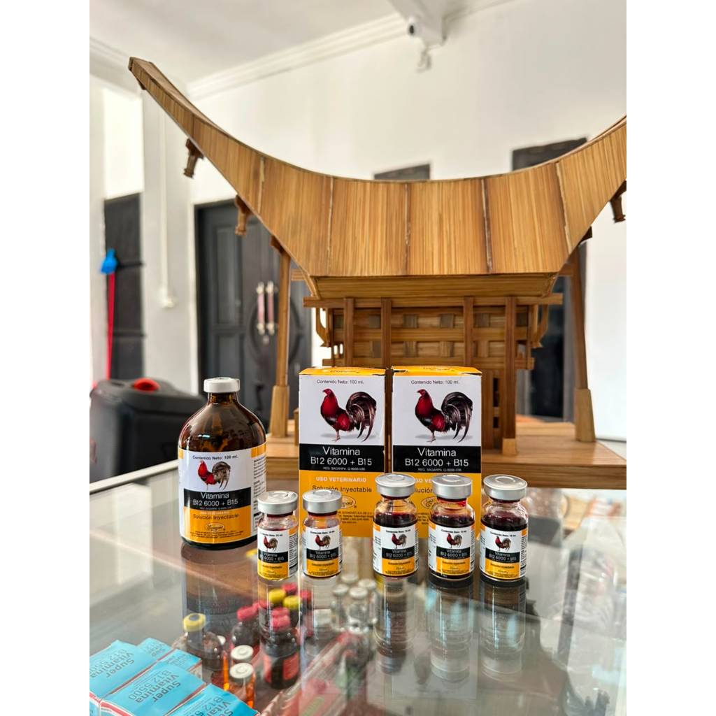 VITAMINA B12 6000+B15 ORI MEXICO REPACK 10 ML