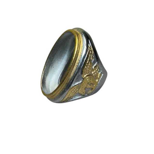 RA15 Ring cincin batu akik emban cangkang titanium