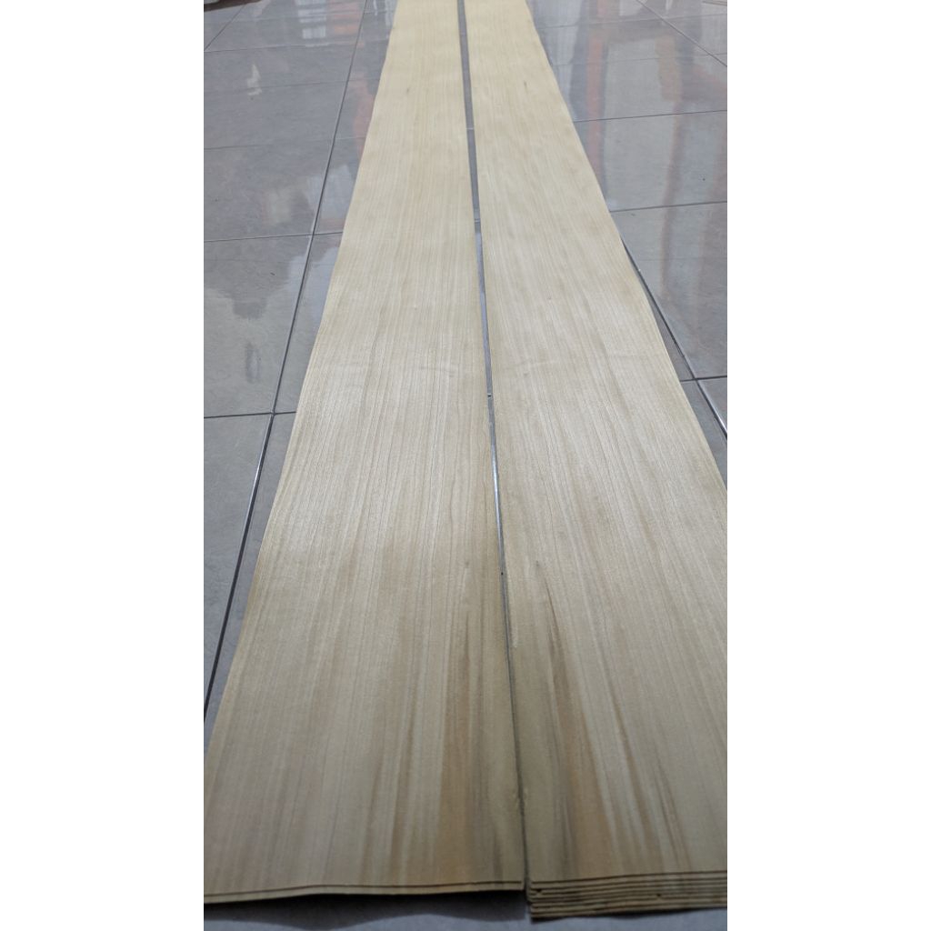 Veneer kayu White Poplar