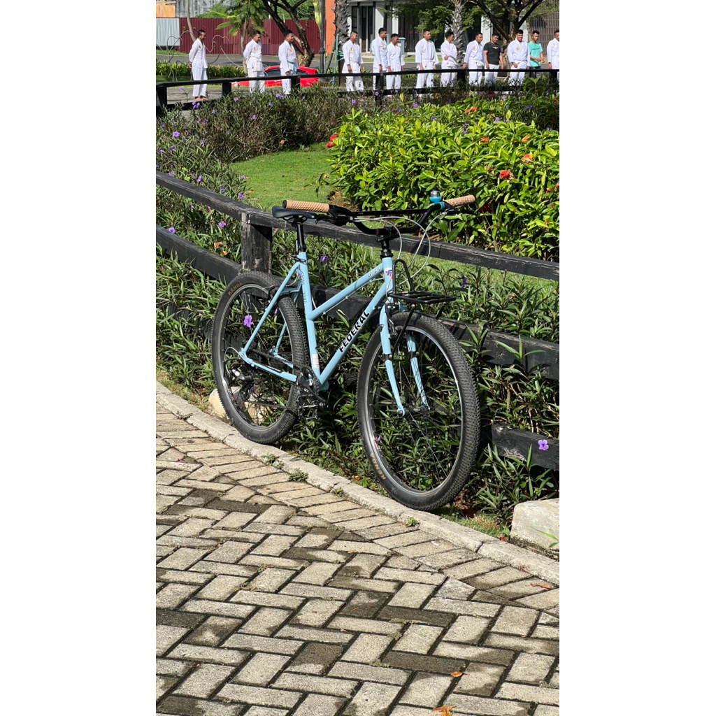 Sepeda Commuter FEDERAL WILD CAT ML30