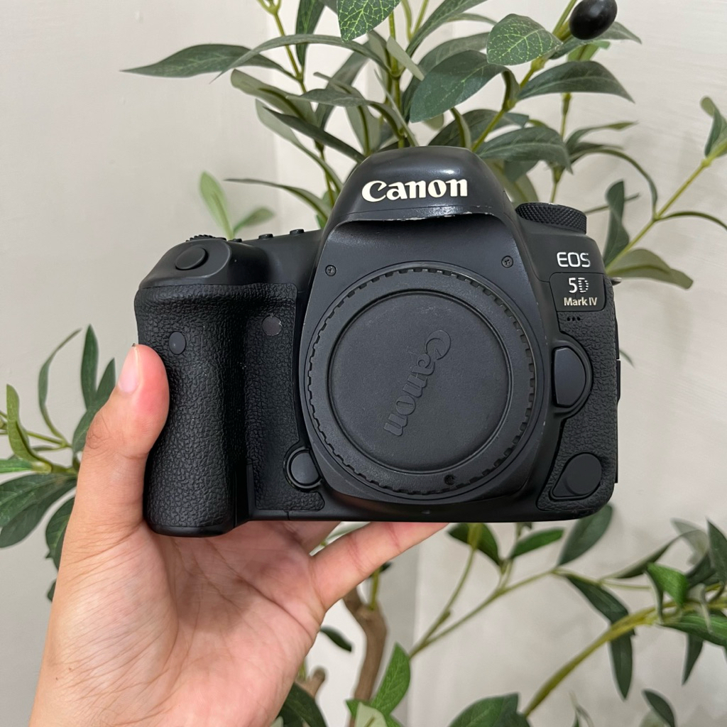 canon 5D mark4 sc 177k