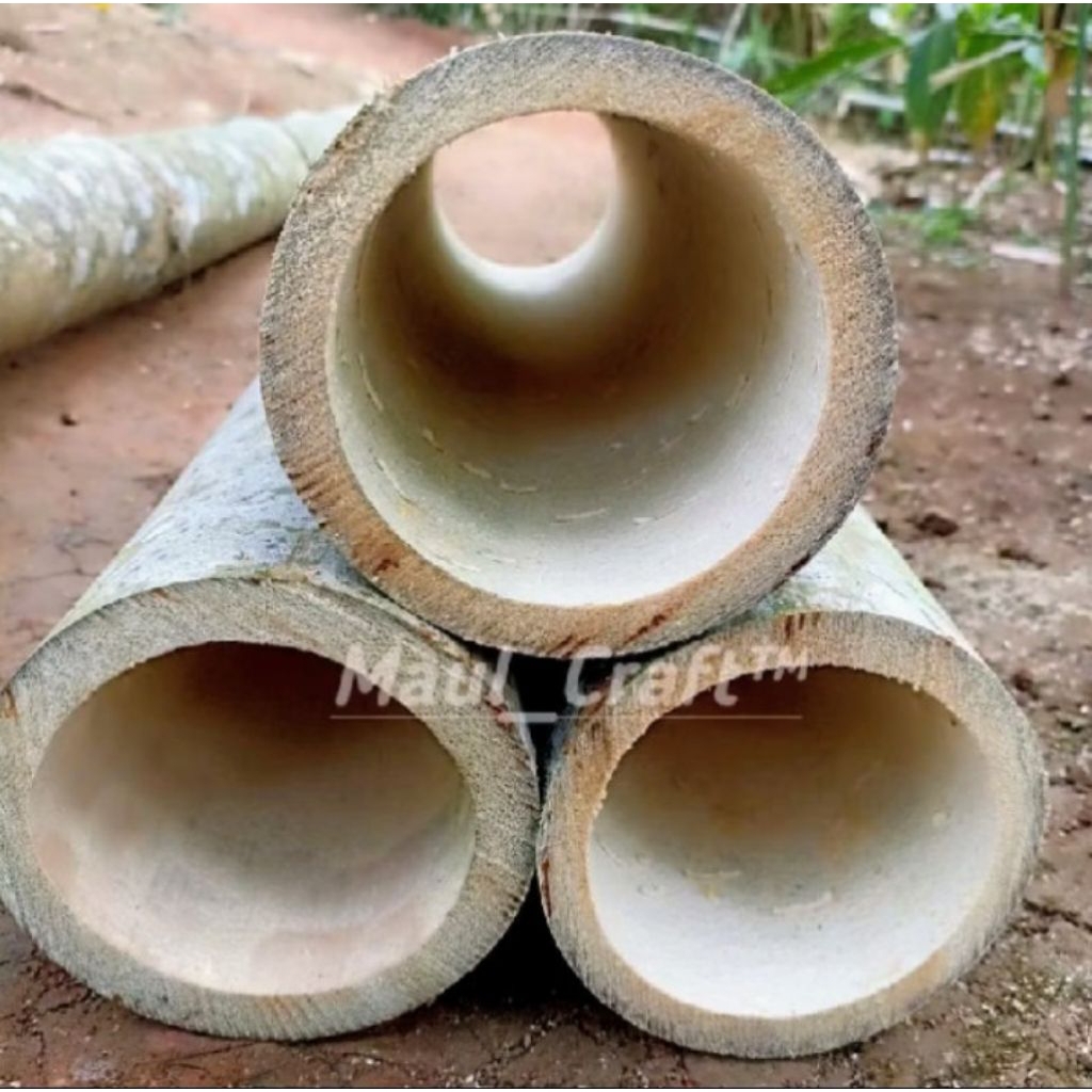 Bambu Petung Utuh 100cm / Bambu Petung Arku Layangan