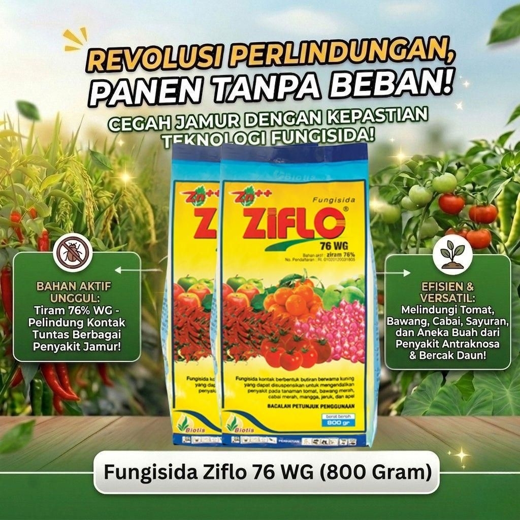 ZIFLO 76 WG 800 GRAM