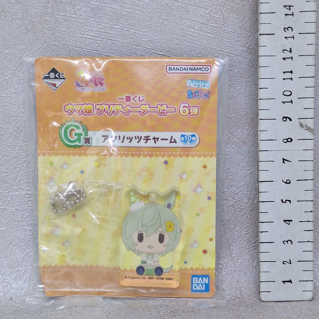 Seiun Sky Uma Musume Acrylic Keychain Gantungan Kunci Akrilik Ichiban Kuji G Prize Vol 6 Umamusume P