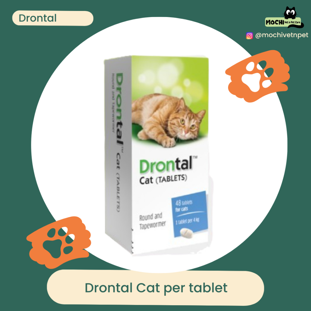 Drontal Cat Original Elanco bukan thailand obat cacing kucing tablet untuk 4kg