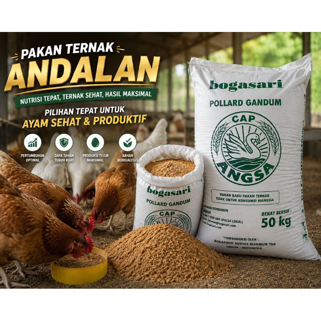 pollard cap angsa