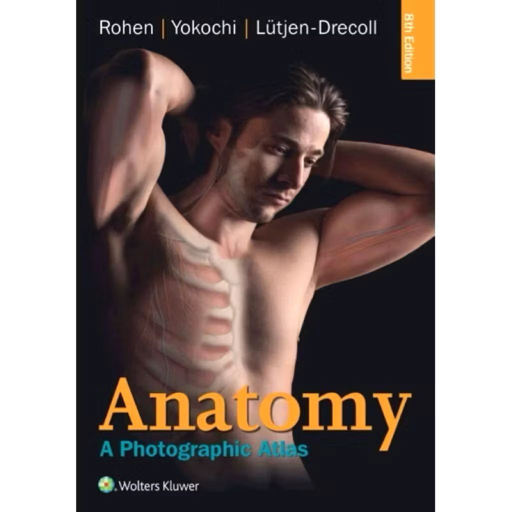 Anatomy: A Photographic Atlas, Eighth Edition – Rohen, Yokochi, Lütjen-Drecoll