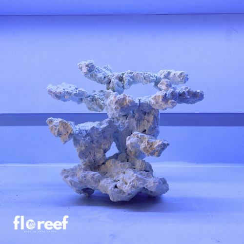 Scaping Aquarium Laut Reef Tank