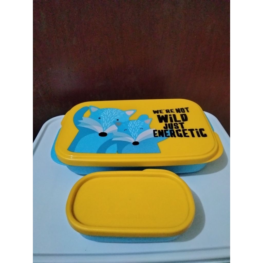 Foodie Buddy Fox Tupperware