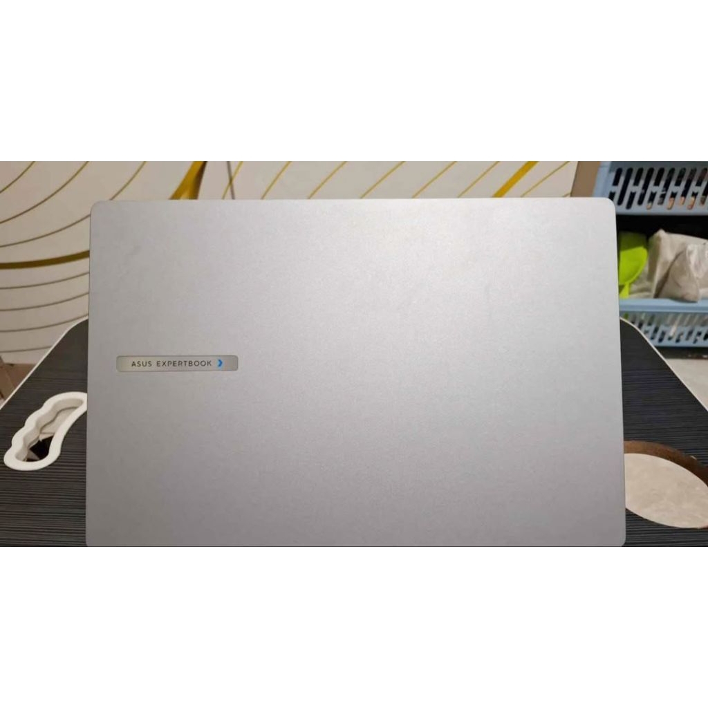 Asus ExpertBook P1
