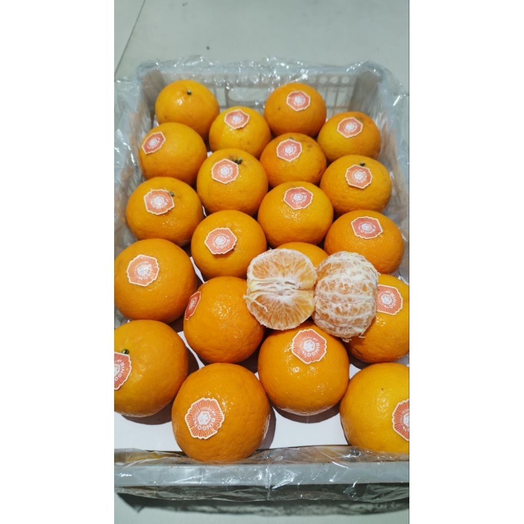 JERUK WOGAM/WOKAM 1KG