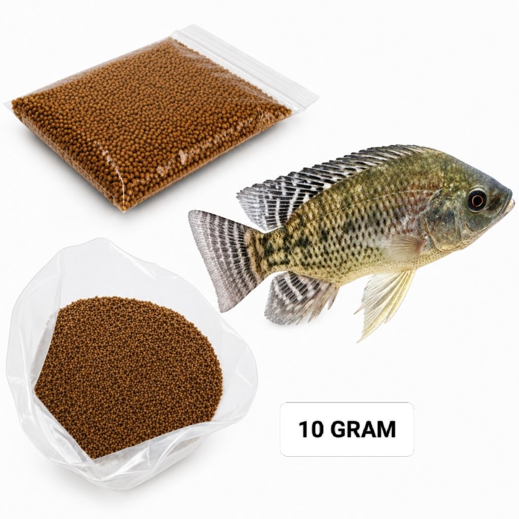 10 Gram Pelet Ikan Mujair PF 800 0,8mm Pakan Pertumbuhan Mujair