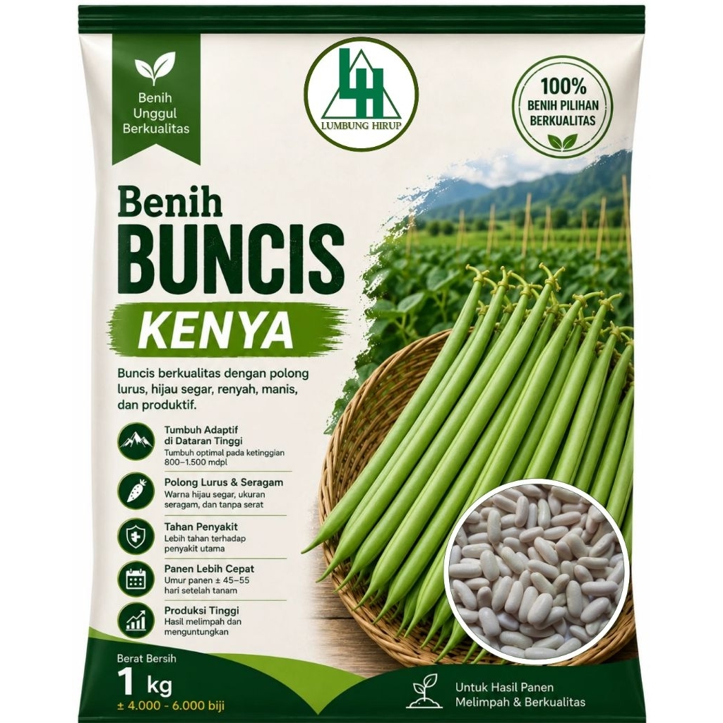 Benih Buncis Kenya (baby) 1 kg premium