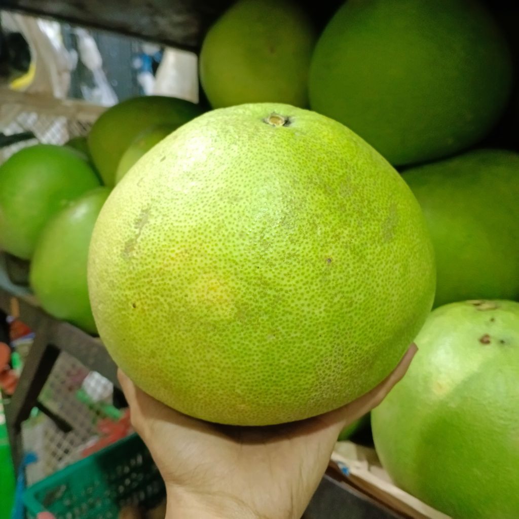 Buah Jeruk Bali Pamelo Madu Super Manis