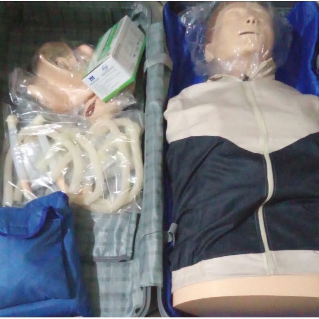 Cpr half body