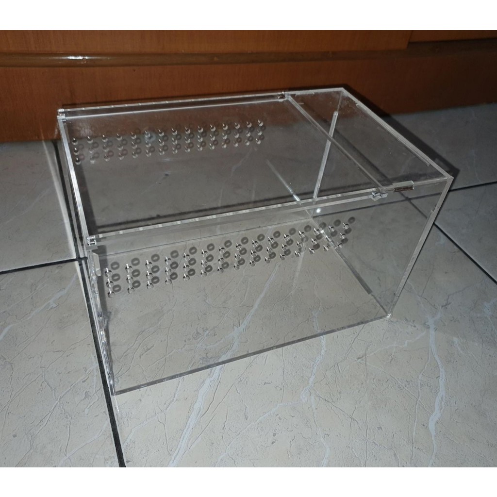 PAKET BUNDLING UNTUK PEMULA UKURAN TARANTULA JUVENILLE - ADULT
