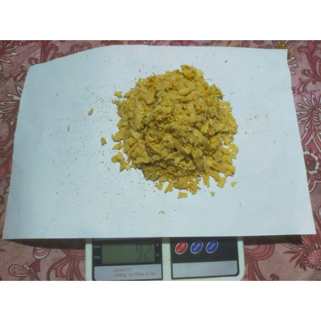telur maggot bsf