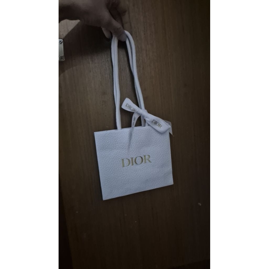 dior paper bag original authentic