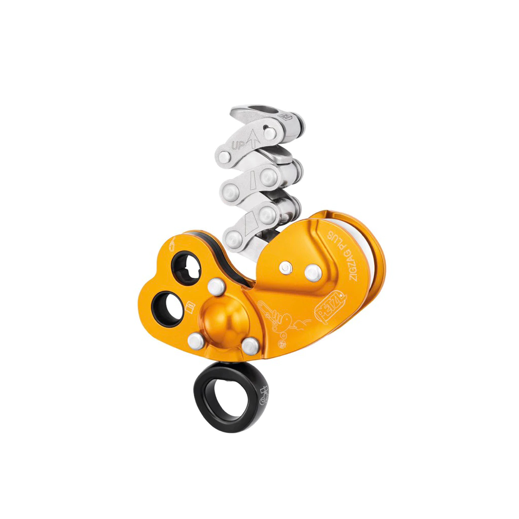 zigzag plus petzl for ascending descending tree climbing