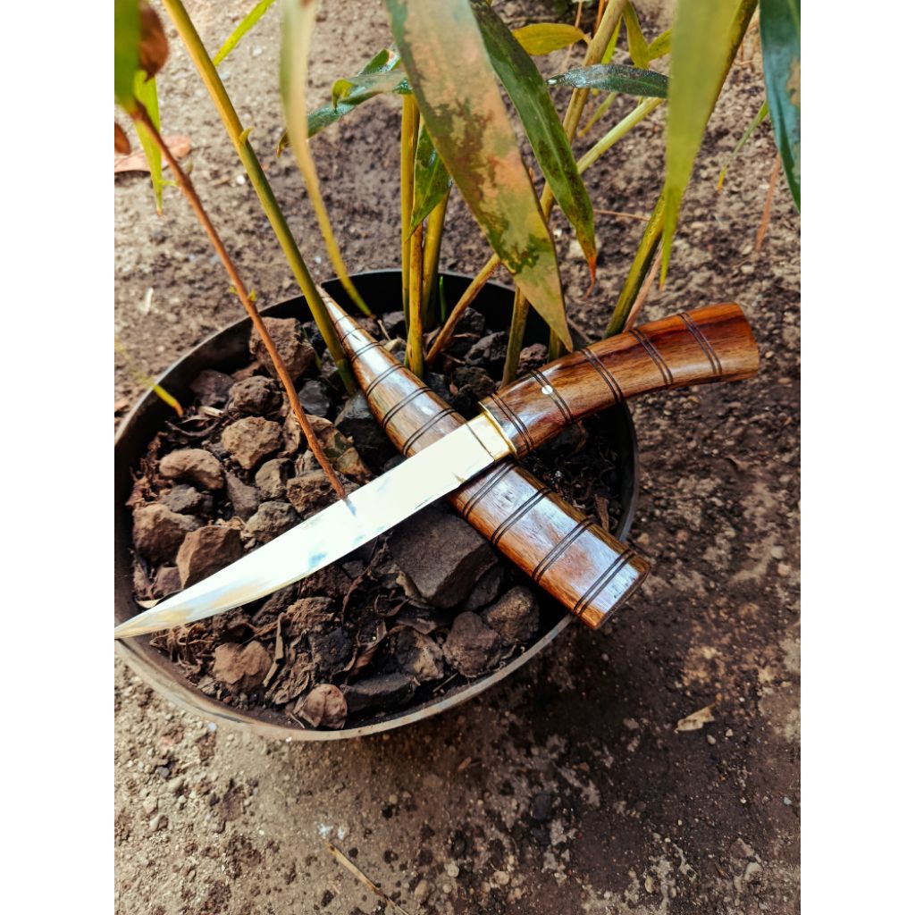 pisau seset jalu husus sayat daging dan kulit sapi kambing ayam