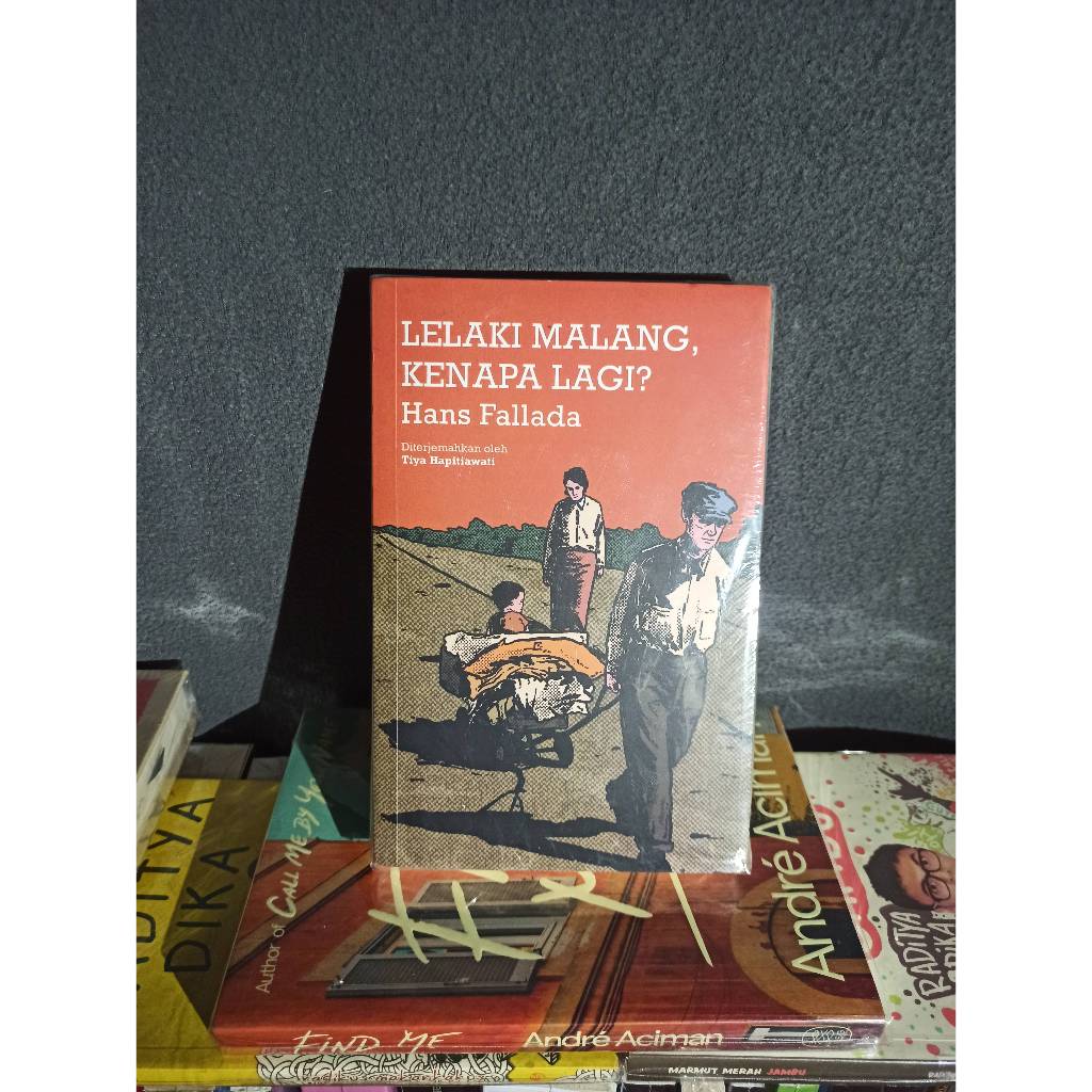 Buku Lelaki Malang, Kenapa Lagi - Hans Fallada
