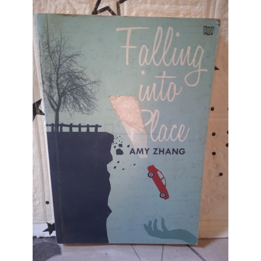 ORIGINAL NOVEL FALLING INTO PLACE - AMY ZHANG