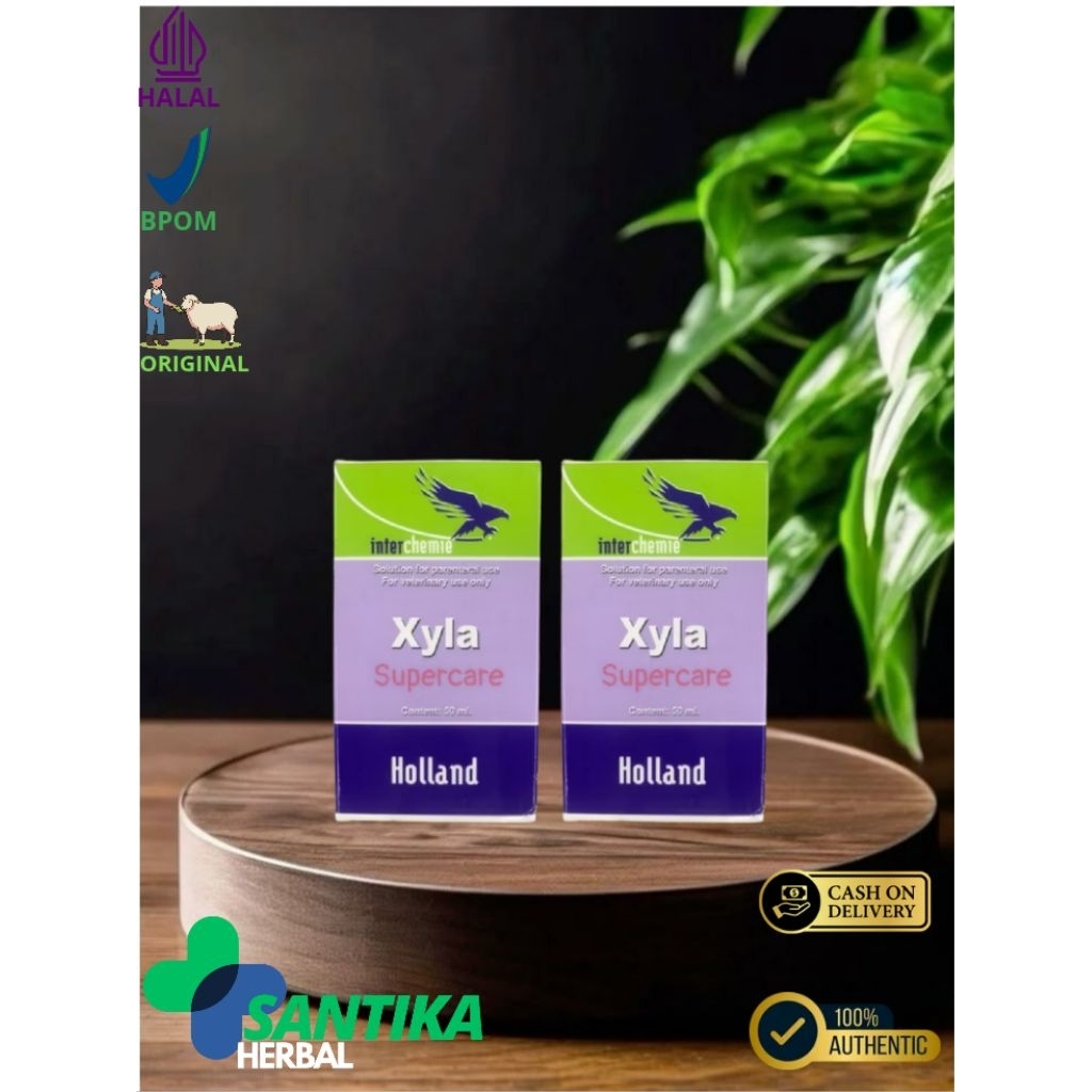 Xyla obat anestesi dan penenang untuk hewan yang mengandung bahan aktif Xylazine