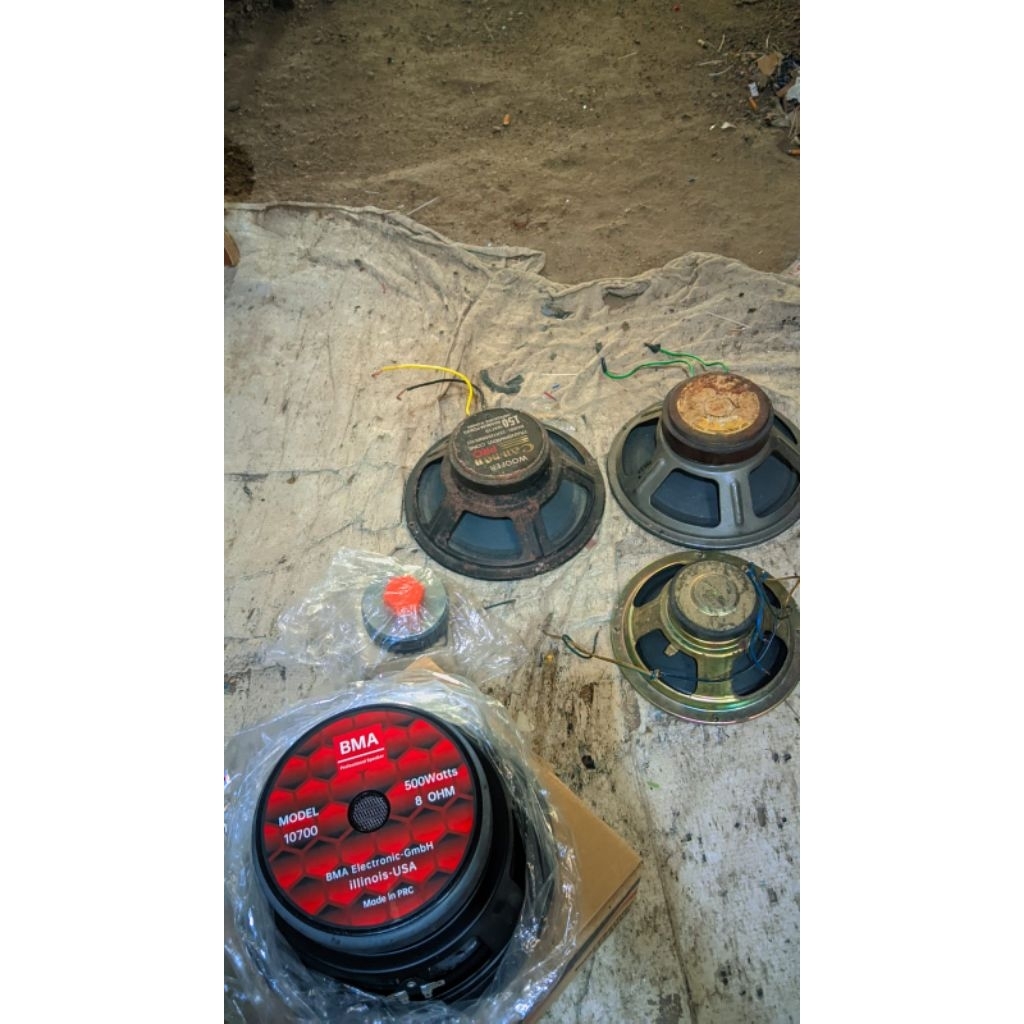 speaker rrt 10 inch