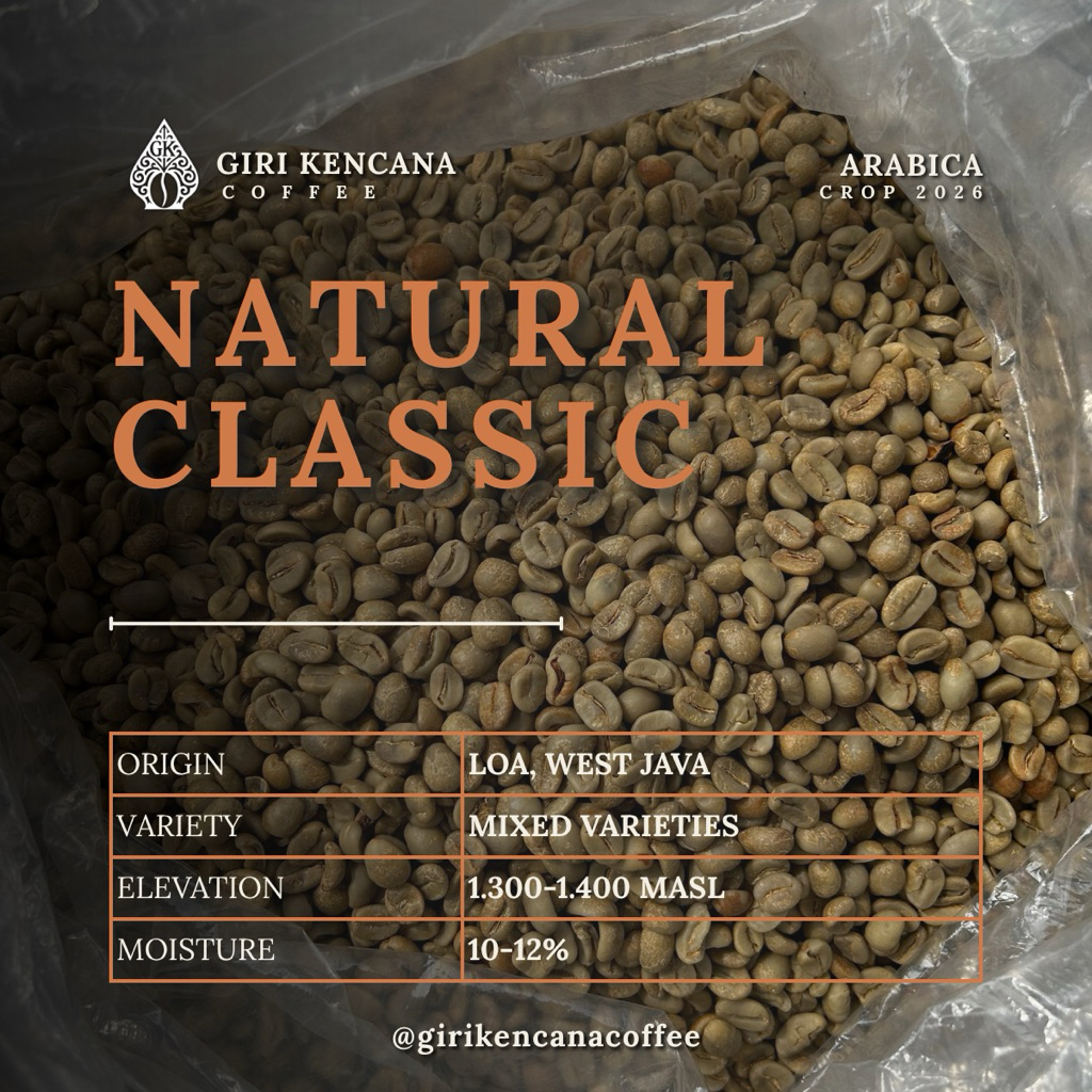 Green Bean Arabica Natural Classic Java Preanger – Coffee Bean Loa, Jawa Barat Specialty Grade – Bij
