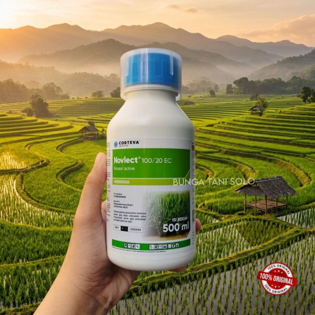 Novlect 120 EW Herbisida Selektif Padi