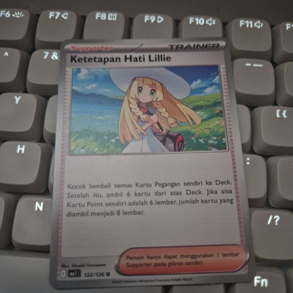 Supporter Ketetapan Hati Lillie