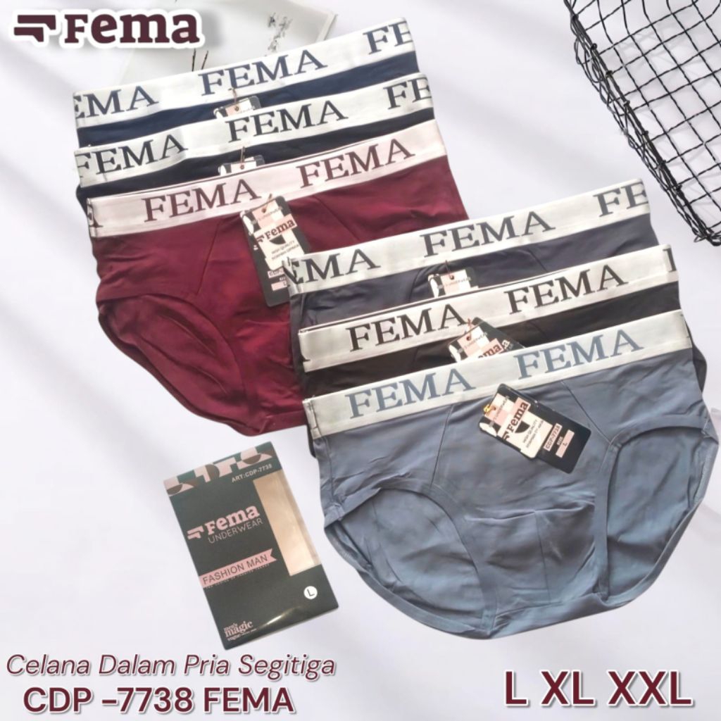 3 PCS CD PRIA Segitiga FEMA Celana Dalam Pria FEMA 7738