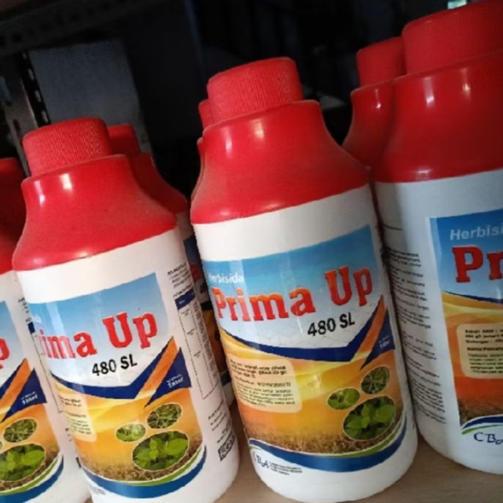 PRIMA UP 480 SL JAMINAN ORI GINAL
