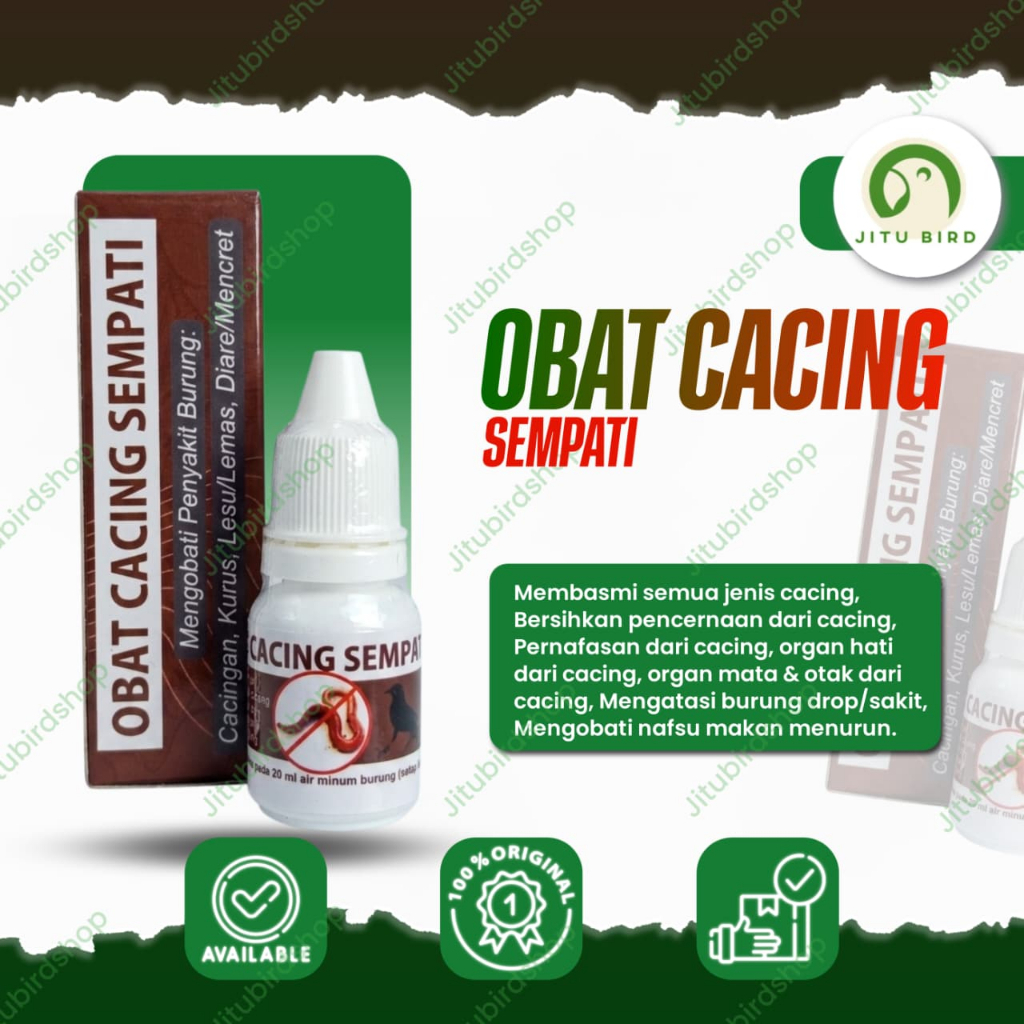 SEMPATI OBAT CACING MENGOBATI BURUNG SAKIT CACING KURUS LESU UNTUK MURAI KACER LOVEBIRD ANIS DLL