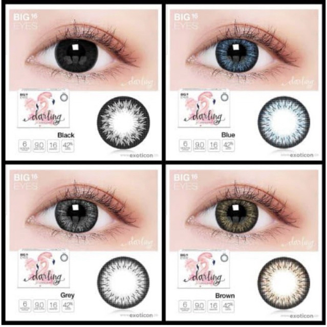 SOFTLENS DARLING 16MM (NORMAL) X2 EXOTICON / SOFLENS GREY BROWN BLACK BLUE / NATURAL
