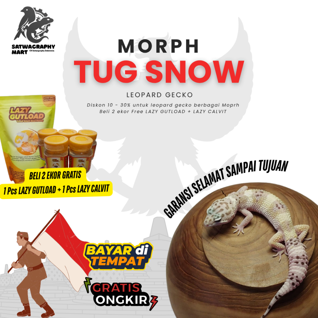 Mainan Anak GECKO Warna TUG SNOW TS bukan Mack Snow