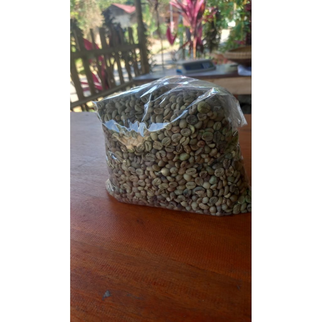 robusta toraja