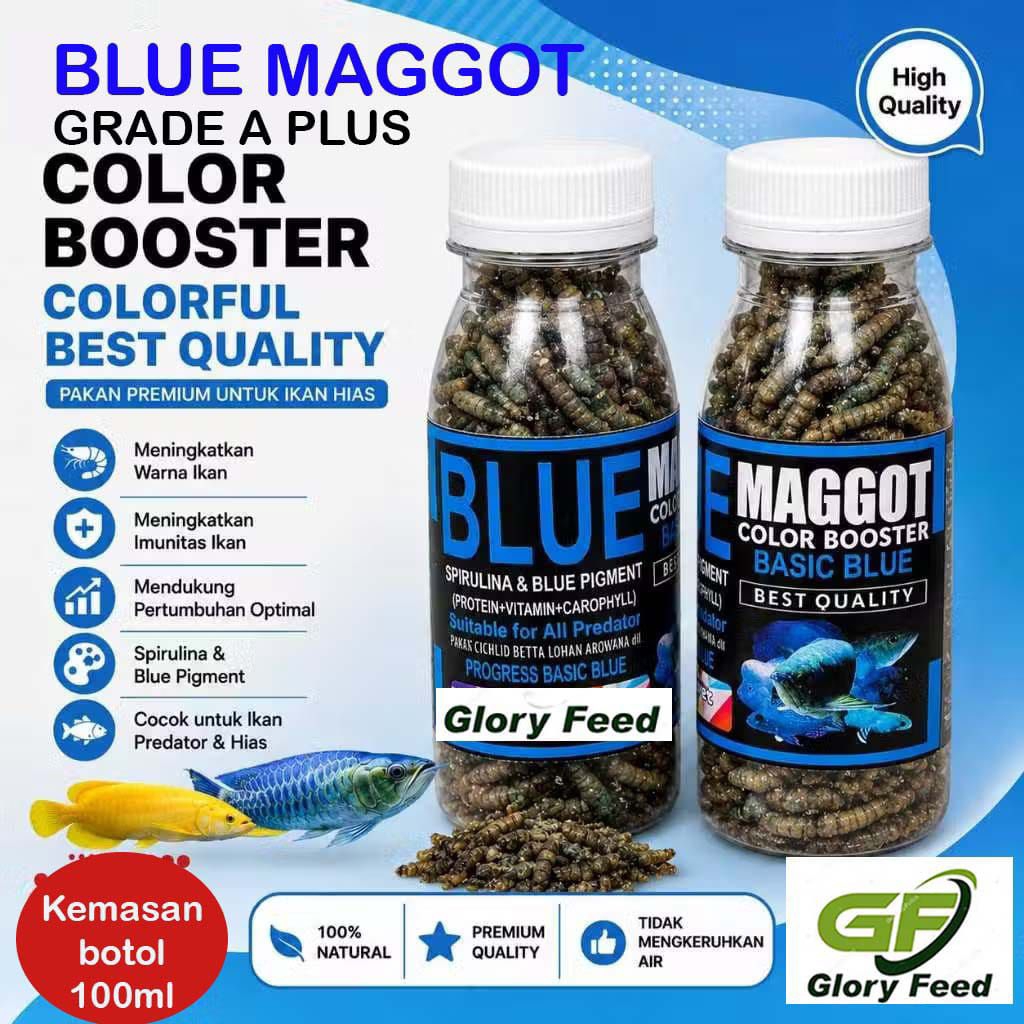BLUE MAGGOT KERING/BLUE MAGOT/EXTRA PIGMEN/MAGGOT BIRU/Kemasan botol 100ml