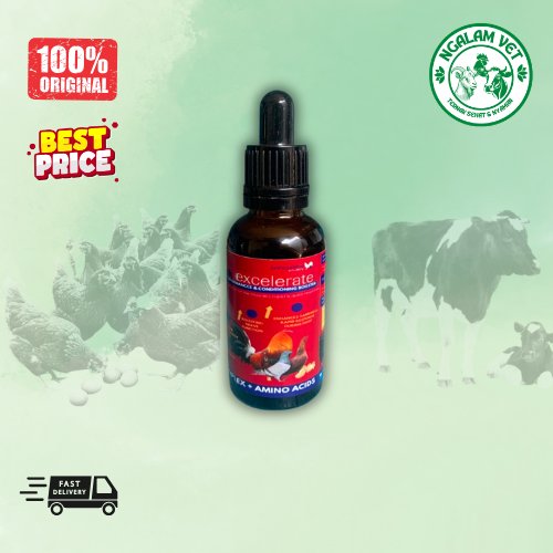Think Excelerate – Doping Tetes Ayam Laga dan Merpati Balap agresif dan fokus 30ml premium