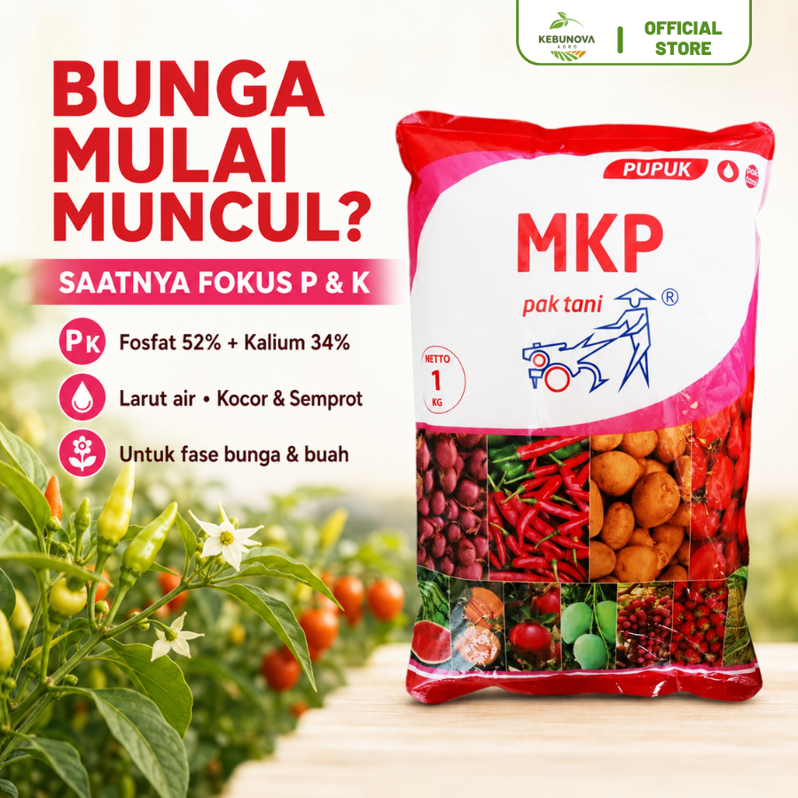 Pupuk MKP Pak Tani 1 Kg Mono Kalium Fosfat P2O5 52% K2O 34% untuk Bunga Buah & Umbi