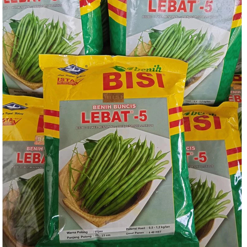 BENIH BUNCIS LEBAT - 5 500 GRAM - CAP KAPAL TERBANG