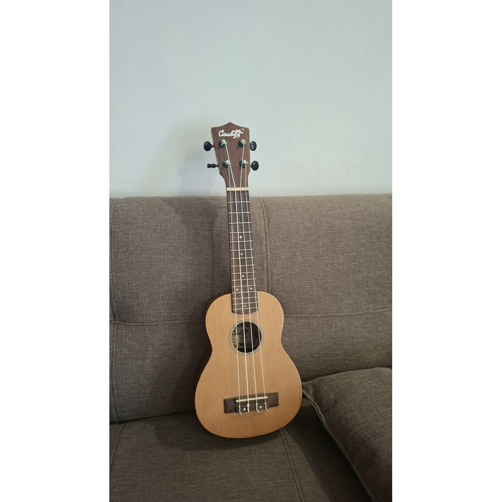 ukulele cowboy