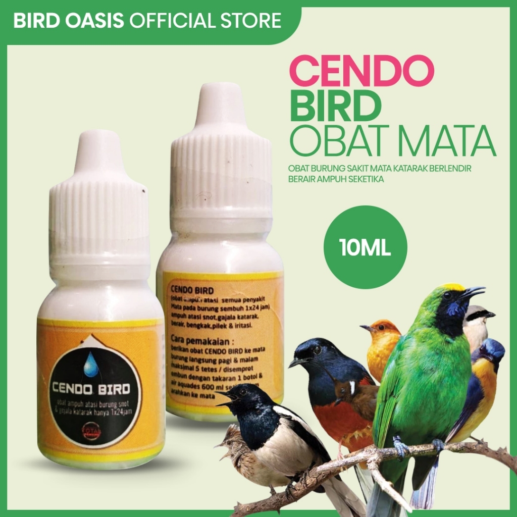 Bird Oasis Cendo Bird Obat Mata Burung Snot Katarak Iritasi Ampuh
