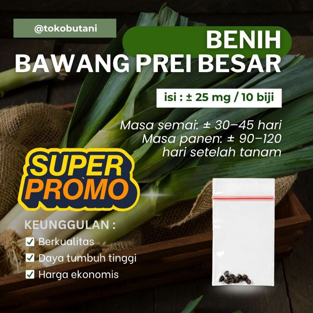 Benih Bawang Prei Besar Bibit Bawang Prei Besar 10 Biji 70 Hari Panen